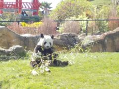 DSCN0435.JPG